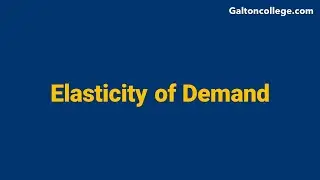 Elasticity of Demand