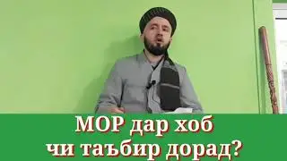 ✅МОР дар хоб чи маъно дорад. Домулло Абдулкодир