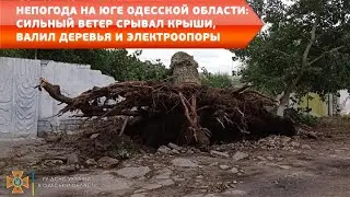 Непогода на юге Одесской области: сильный ветер срывал крыши, валил деревья и электроопоры