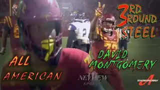 DAVID MONTGOMERY HIGHLIGHTS 🔥🔥🔥🔥