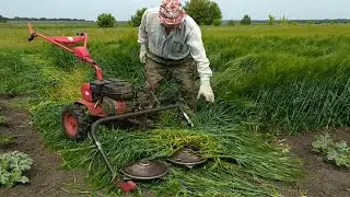 АХ СЕНОКОС! СЕНОКОС!  В ЖАРУ ПОД 40 ГРАДУСОВ.