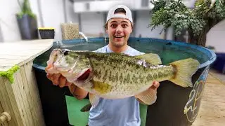 My NEW Pet BASS THUMP for 5,500G POND!! ft. Icy Breeze