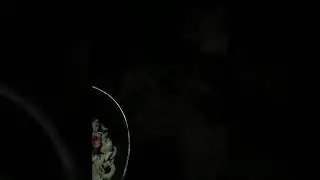 Любимое блюдо Чингисхана
