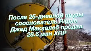 После 25-дневной паузы сооснователь Ripple Джед Маккалеб продал 28.6 млн XRP