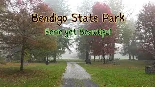 Bendigo State Park ~ Eerie yet Beautiful