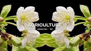 6/11 Agriculture (iGEM 2023 Grand Jamboree)