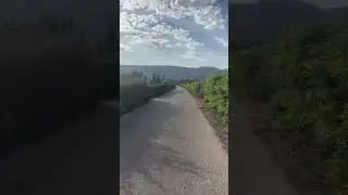 Райское местечко на озере Хула 🇮🇱 Прокат велосипедов 🚵‍♂️ אגמון אחול 🌊 Цена билета в описании