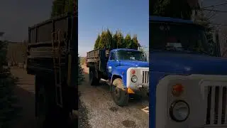 Ретро ЁЛЫ ПАЛЫ