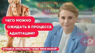 Чего можно ожидать в процессе адаптации?