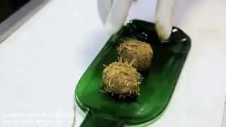 Конфеты из белого шоколада. Рецепты с Анкрашрум.