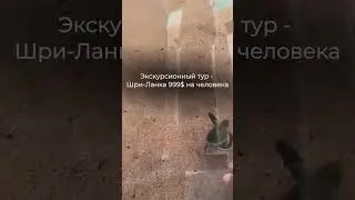 Зимние спецпредложения🔥