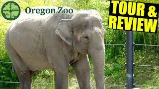 Oregon Zoo 2024 Tour & Review with The Legend