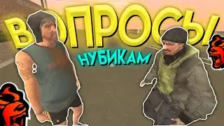 😮 ЗАДАЮ ВОПРОСЫ НУБАМ, НО ЕСЛИ ОНИ НЕ ОТВЕТЯТ... в GTA CRMP MOBILE *гта крмп black russia* 