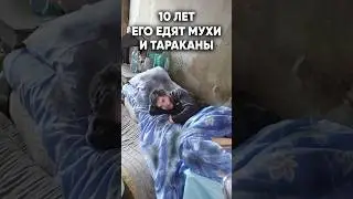 10 лет его ели мухи и тараканы