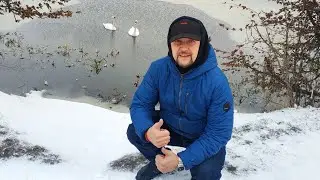 Переезд бабушки в Мамоново. Калининград-мишка.