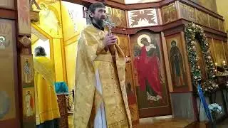 Проповедь протоиерея Александра Василенко в Прощеное воскресенье