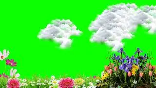 geern screen video effect 