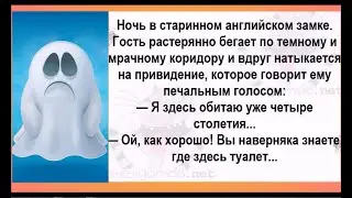 - Смотри, звезда падает! Загадай желание. - Я хочу, чтобы ты на мне женился. - Ой, обратно полетела.
