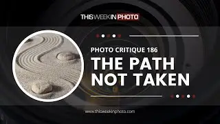 Photo Critique 186 - THE PATH NOT TAKEN