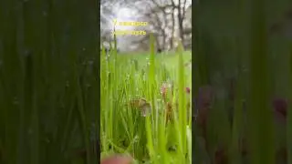 У каждого свой путь 