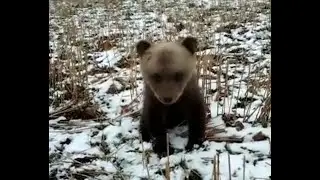 7 апреля 2023 г.