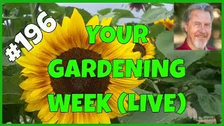 Seed Starting Tips (Q&A)
