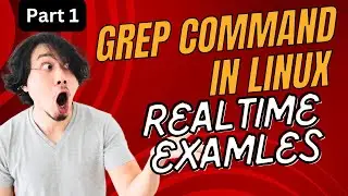Mastering the Linux grep Command with Real Time Examples  Find Text Like a Pro!