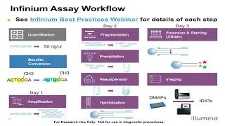 Illumina Infinium Methylation: Analysis and Reporting Review