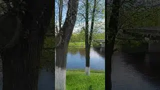 На данный момент население города Торжок составляет 40 тысяч человек #торжок