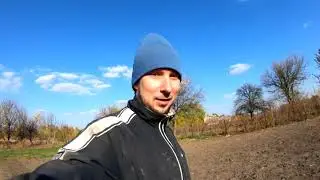Сколько грецких орехов я собрал с 3 деревьев?