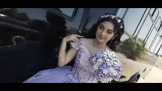 Rosa XV Highlight
