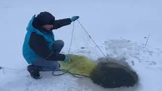 Проверка