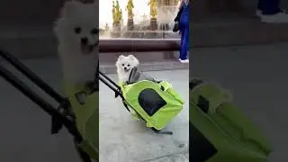 КАССИ УПАЛА В ФОНТАН?!