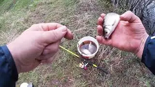 Рыбалка на донку. Вологодская область. Р. Пучкас.