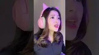 #pov