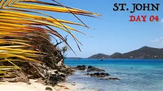 Snorkeling East Island Beaches | St. John, USVI
