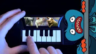 Wanna live MEME (how to play on a 1$ PIG piano)