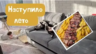 HOME Vlog / РЁБРЫШКИ С МЁДОМ/ Как храню зелень? / Собираю сушилку