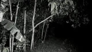 GAIRAH TERLARANG JIN TUKANG C4BUL