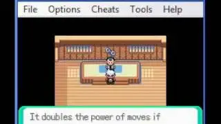 How To Beat The Fifth Gym Leader Really Easy On Pokemon Emerald