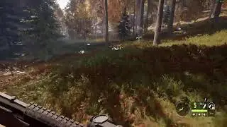 theHunter: Call of the Wild