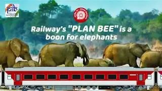Elephants don't like bees; but now bees are going to save their lives