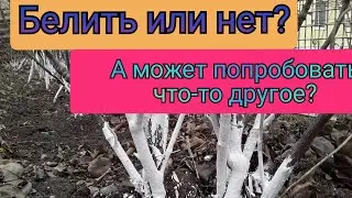 Весенняя обработка Деревьев, Кустарников, Винограда. Побелка и что еще Помогает от Вредителей
