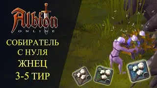 🔴Albion online : 🔥СОБИРАТЕЛЬ С НУЛЯ - ЖНЕЦ 🔥 3-5 ТИР