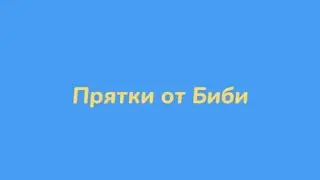 Прятки от Биби