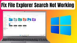 How to Fix File Explorer Search Not Working in Windows 11