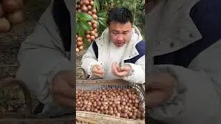 fruit is it collecting from the river #viral