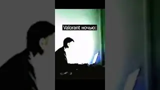 И так каждый день 