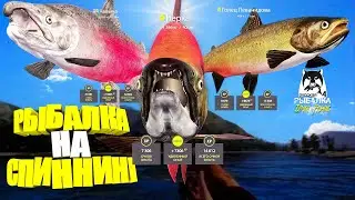 Русская рыбалка 4.🎣🦈 р. Яма 🐬🐬🐬💦 РЫБАЛКА на СПИННИНГ от LATORSO 👀