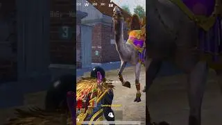 Camel dance 😂____